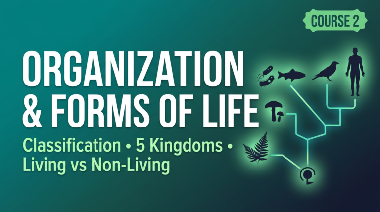 Organization and Forms of Life