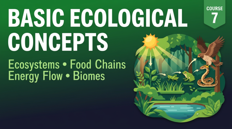 Basic Ecological Concepts