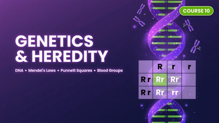 Variation and Genetics (Biology of Heredity)